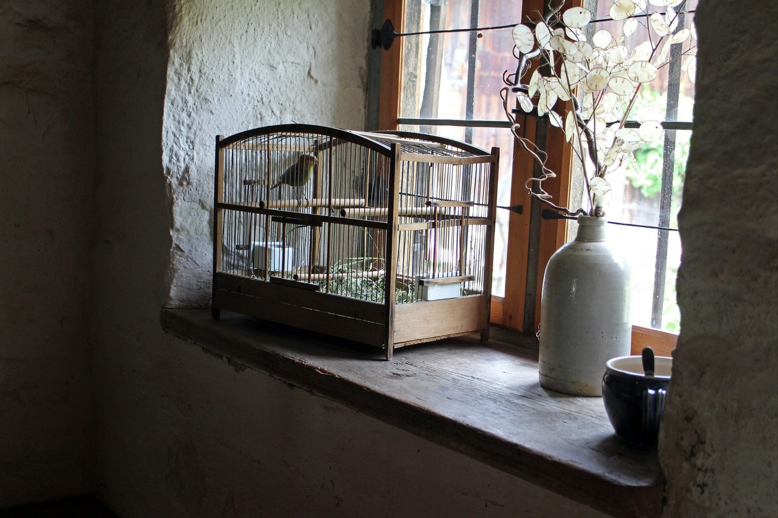 bird-cage-402205_1920 